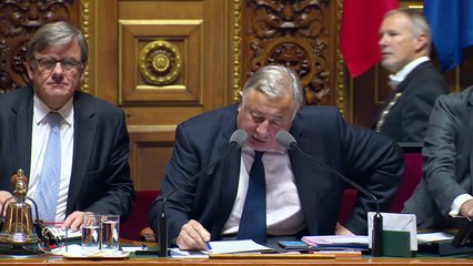 Sophie Primas : " Il y a un risque de retours massifs de djihadistes en Europe, suite à la défaite de Daesh ! "