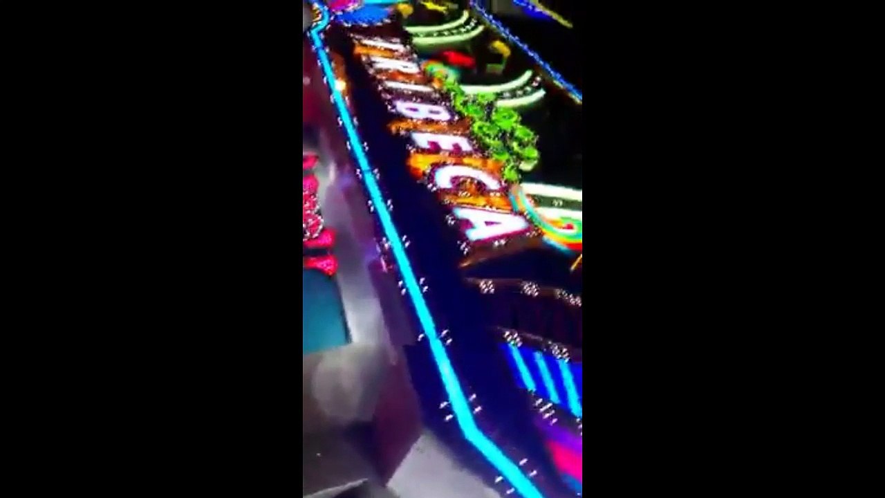 Sujeto arroja lejía a una inocente perrita que buscaba refugio en las afueras de un Casino