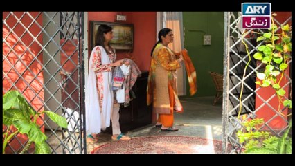 Haya Kay Rang Episode 24 - on Ary Zindagi in High Quality 26th January 2017