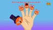 Finger Family Fox Rhymes | The Finger Family Fox Family Nursery Rhyme