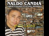 NALDO CANDIÁ : Anjo Caido