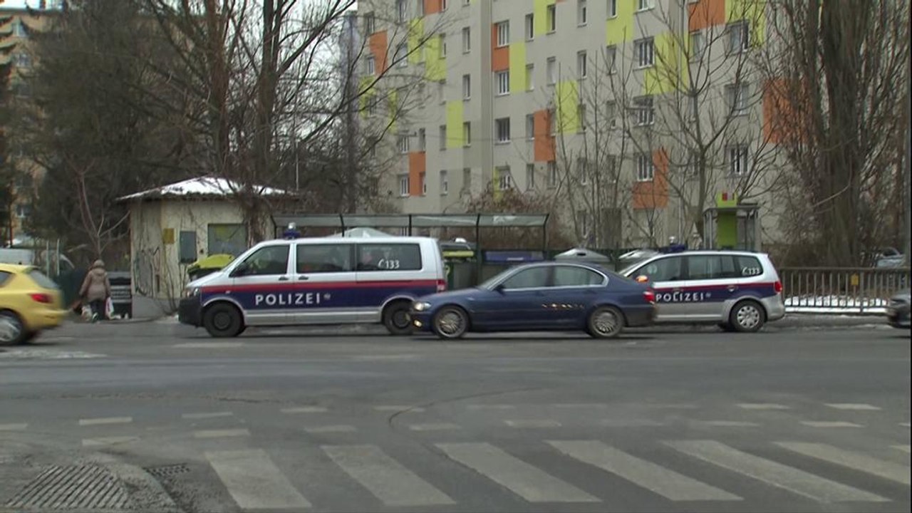 Австрія: заарештовано 11 осіб за підозрою у при...