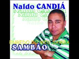 NALDO CANDIÁ : Enredo do Meu Samba