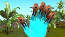 Lion Finger Family Rhymes Top 10 Animal Finger Family Rhymes | Finger Family Rhymes