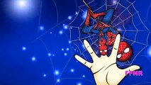 Spiderman Finger Family Songs | Spiderman Cartoons For Children | Finger Family Nursery Rhymes