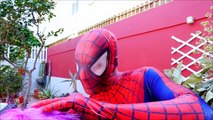 HOMEM ARANHA CORTA CABELO DA FROZEN ELSA E ELA O CONGELA