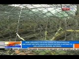 Exotic birds, matatagpuan daw sa aviary ng kontrobersyal na lupa sa Rosario, Batangas