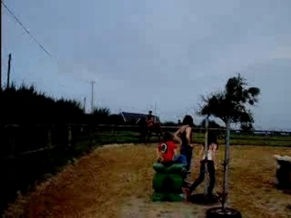 Bolide vertical