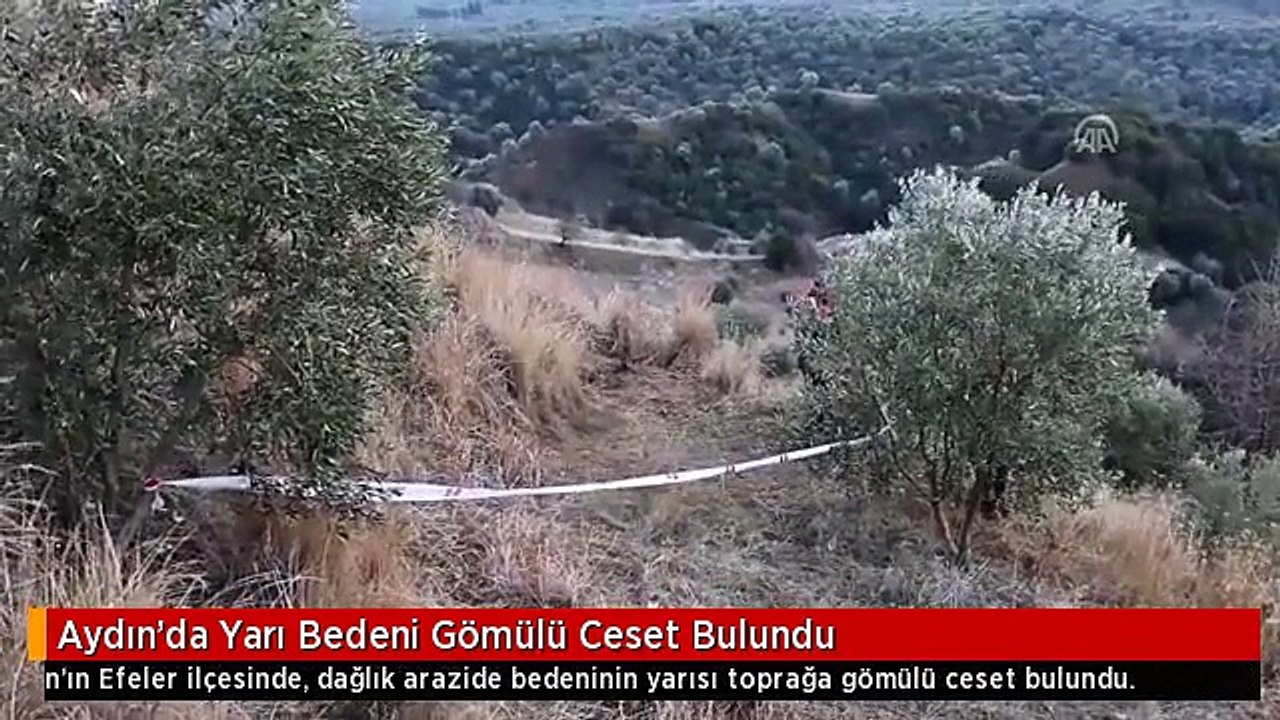 Aydın'da Yarı Bedeni Gömülü Ceset Bulundu