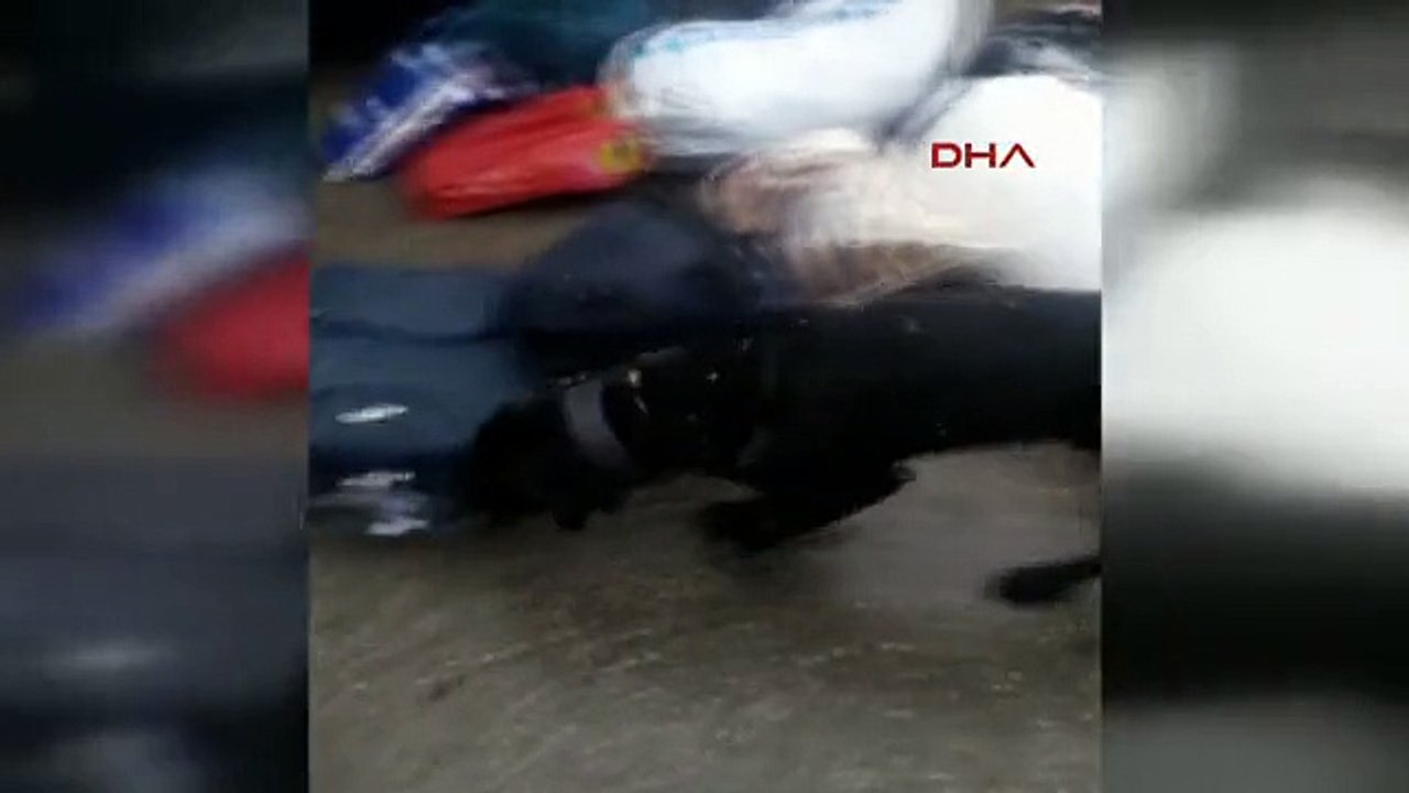 Sakarya - Varis Çorabından 492 Gram Eroin Çıktı