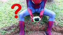 Человек-паук супергерой заклинание! ж/ замороженные elsa