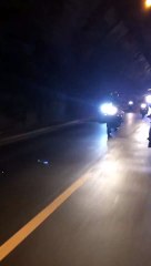 Grau De F800 Rolé Zn 2016