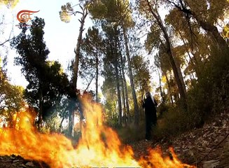 حرر عقلك | الارهاب المنظم | 2017-01-26