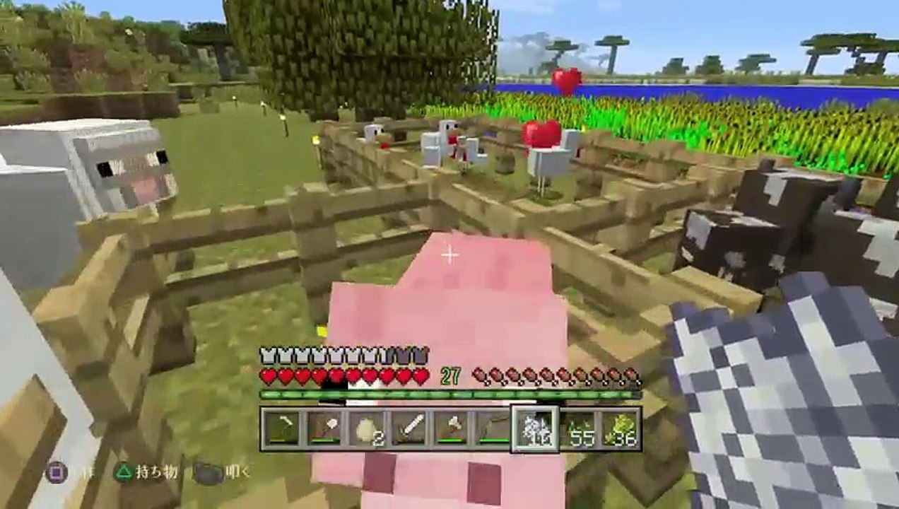 マイクラ (7)