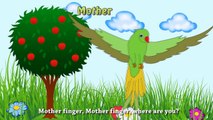 Funny Parrot Finger Family | Cartoon Animation Rhymes | Children Nursery Songs with Lyrics