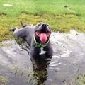 Cooling down after a long walk