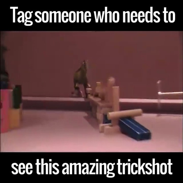 This is pure gold