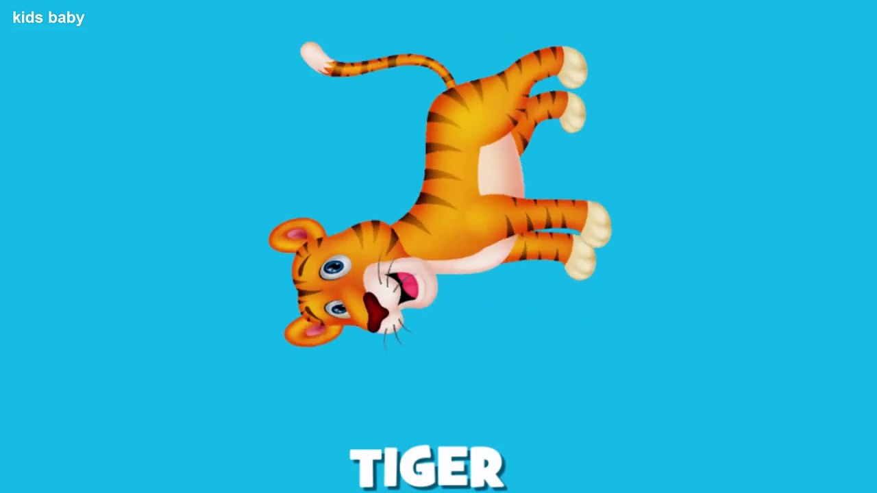 Compilation Animals Names & Sounds for Children - Learn Wild Animals,Farm Animals And Sea Animals