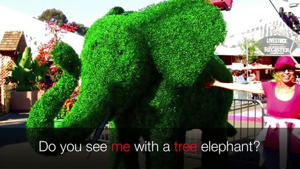 Learn RHYMING WORDS  Learn English