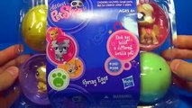 PetShop Surprise Eggs Unboxing 6 surprise eggs Littlest PET SHOP Spring eggs 킨더 서프라이즈
