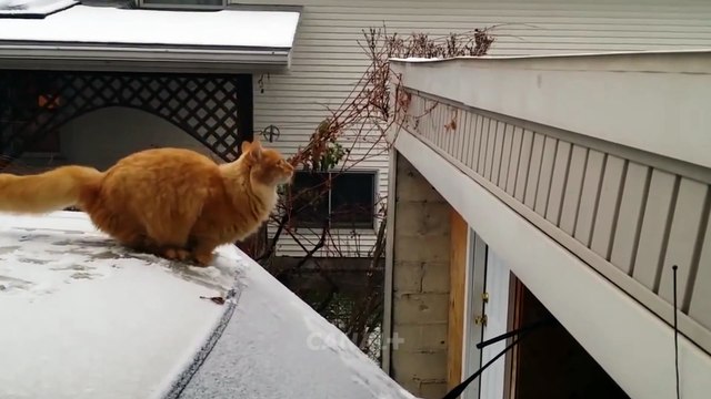 Rendez-vous avec Kevin Razy - A partir du lundi 20 Février
