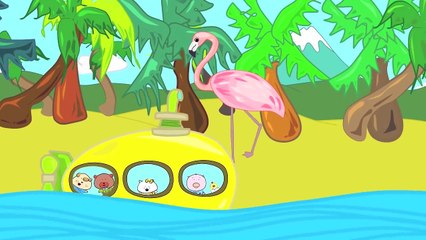 Colors song | Colors song for children | Learning colors funny - ABC Song Collection