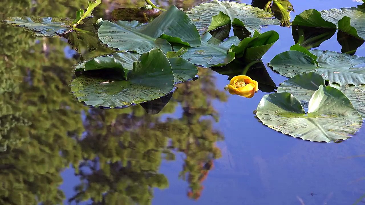 07. Rocky Mountain National Park, Colorado, USA