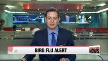 BD Korea issues highest alert against bird flu for first time