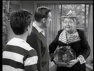 Mister Ed S06 139 Don't Skin That Bear