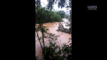 Enxurrada arrasta bois em Rio Novo do Sul, Espírito Santo