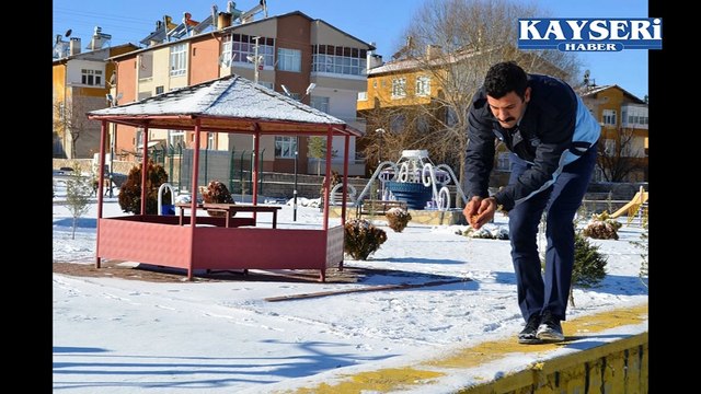 BÜNYAN BELEDİYESİ SOKAK VE YABAN HAYVANLARINI UNUTMUYOR