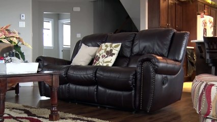 Chocolate Lab PUPPY SURPRISE 2016