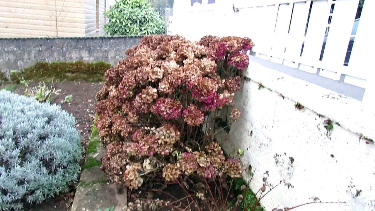 Maison Chateaulin : Extérieur