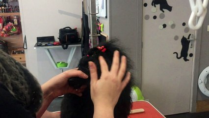 Mons: en beauté pour Noël