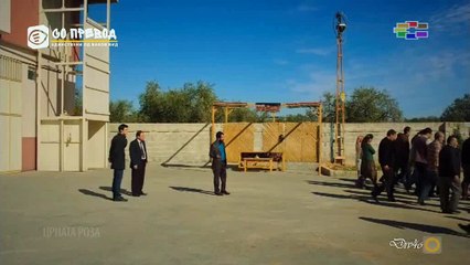 Црната Роза 251