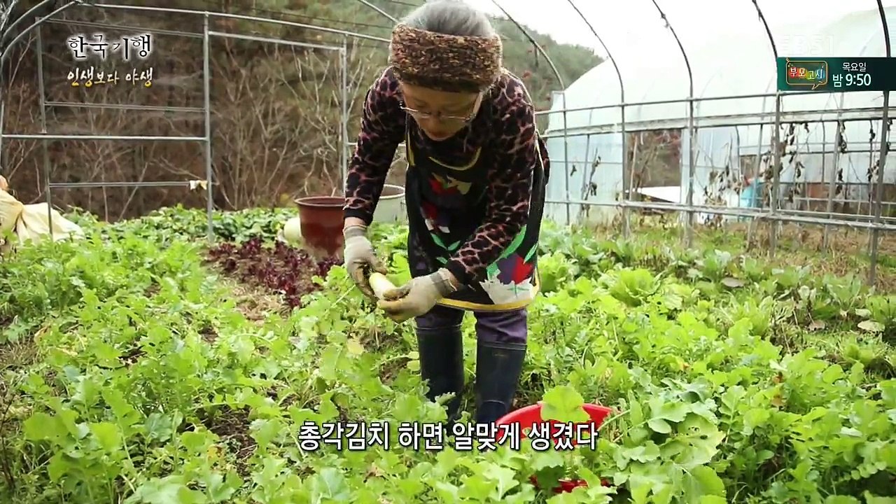 Wild Life-5-mountain people-20161216
