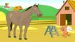 Oliver - Feeding a Horse | BabyTV