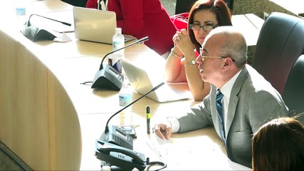 Diputados dictamen la auditoria a Toyota