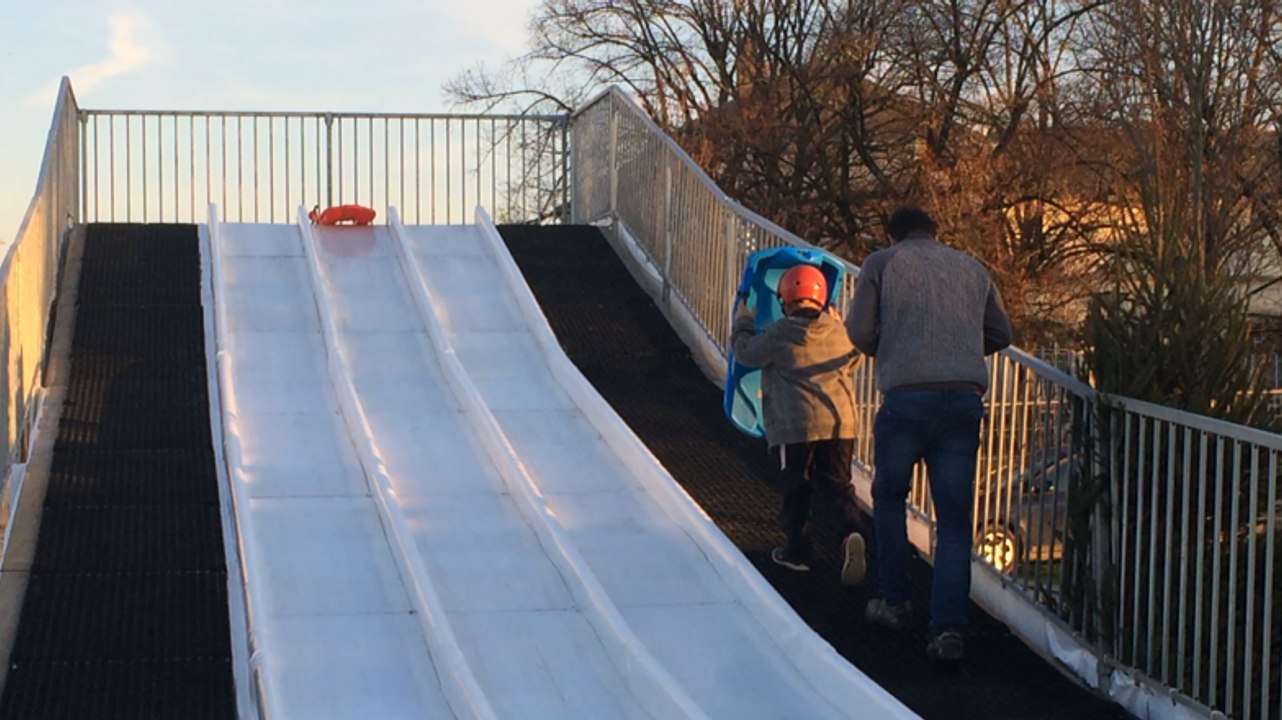 Luge