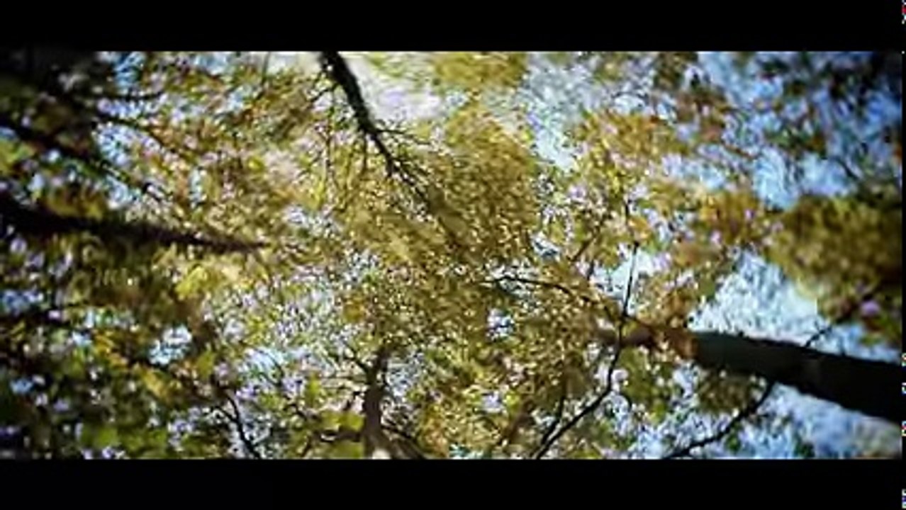 K-REEN & DRY -TOUT CE QU'IL ME RESTE- (Clip Officiel)