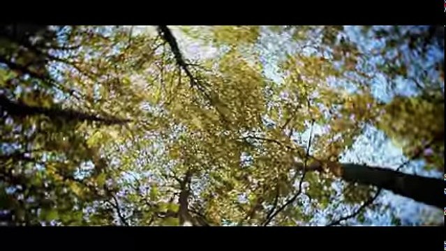 K-REEN & DRY -TOUT CE QU'IL ME RESTE- (Clip Officiel)