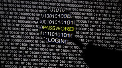 Білий дім пішов у бій проти Дональда Трампа через кібер-атаки