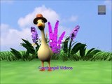Goosey Goosey Gander With Lyrics - Nursery Rhymes for Children