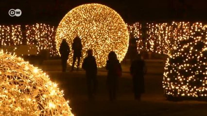Jardim Botânico de Berlim se transforma para o Natal