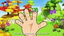 Bugs Finger Family | Bugs Cartoon Finger Family Nursery Rhymes | Cartoon Rhymes
