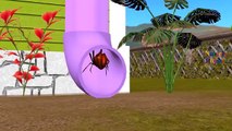 Itsy Bitsy Spider Nursery Rhymes for Children | Incy Wincy Spider Children Nursery Rhymes Cartoons