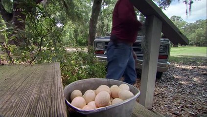 Ma vie avec 16 dindons sauvages (doc 2015)