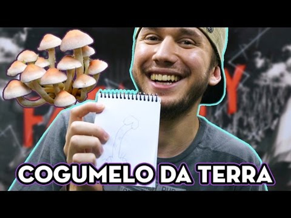 COGUMELO DA TERRA