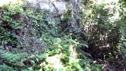 -font--font-19-_font--_font-.Primitive Technology- Firesticks