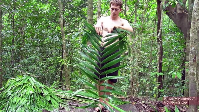 Primitive Technology- Palm Thatched Mud Hut